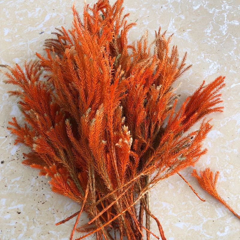 微信图片_20200221143001_副本