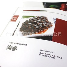 廣州工廠定制企業畫冊展會說明書產品公司簡介彩色印刷設計宣傳冊