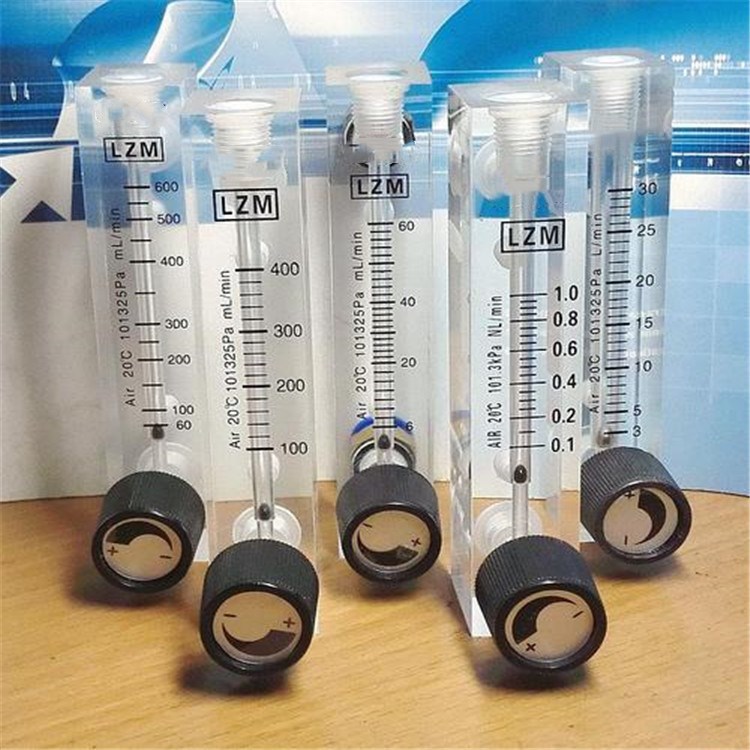 LZM-15-20-25-32-40面板式流量计 MBLD NBDC 厂家直销 质量三包
