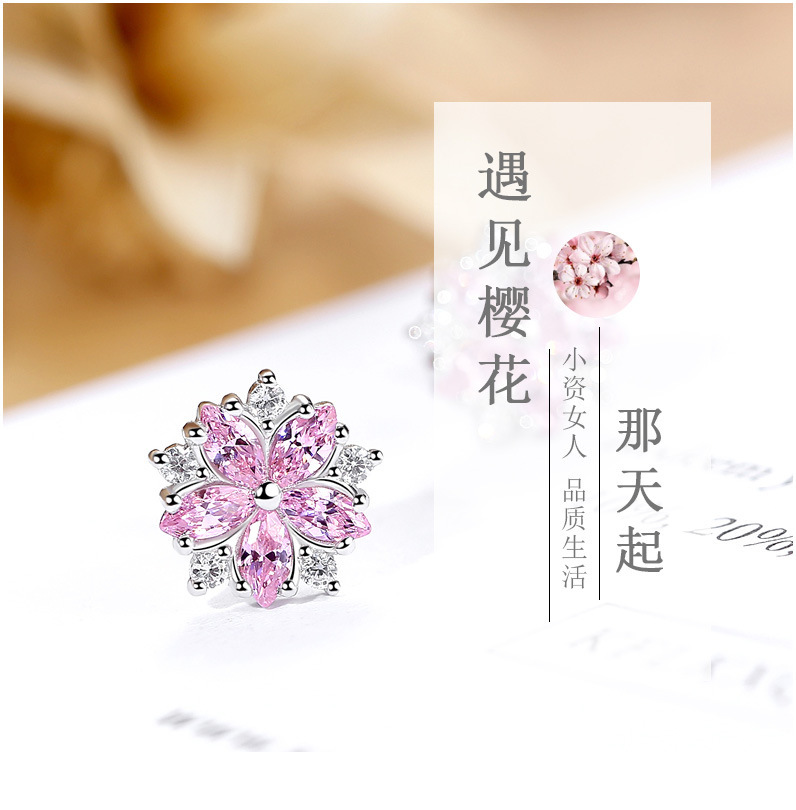 i2uUjf6mxdTrdS48SARxxL1YrkdXiXPCcIL/