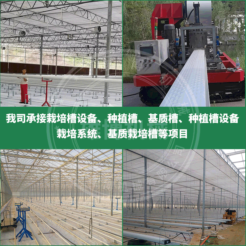 智能无土种植 荷兰模式椰糠栽培 无土立式栽培厂家项目 种植