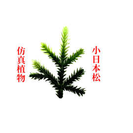 亚马逊植物圣诞工艺品塑料pe柏叶圣诞树装饰用品材料小日本松