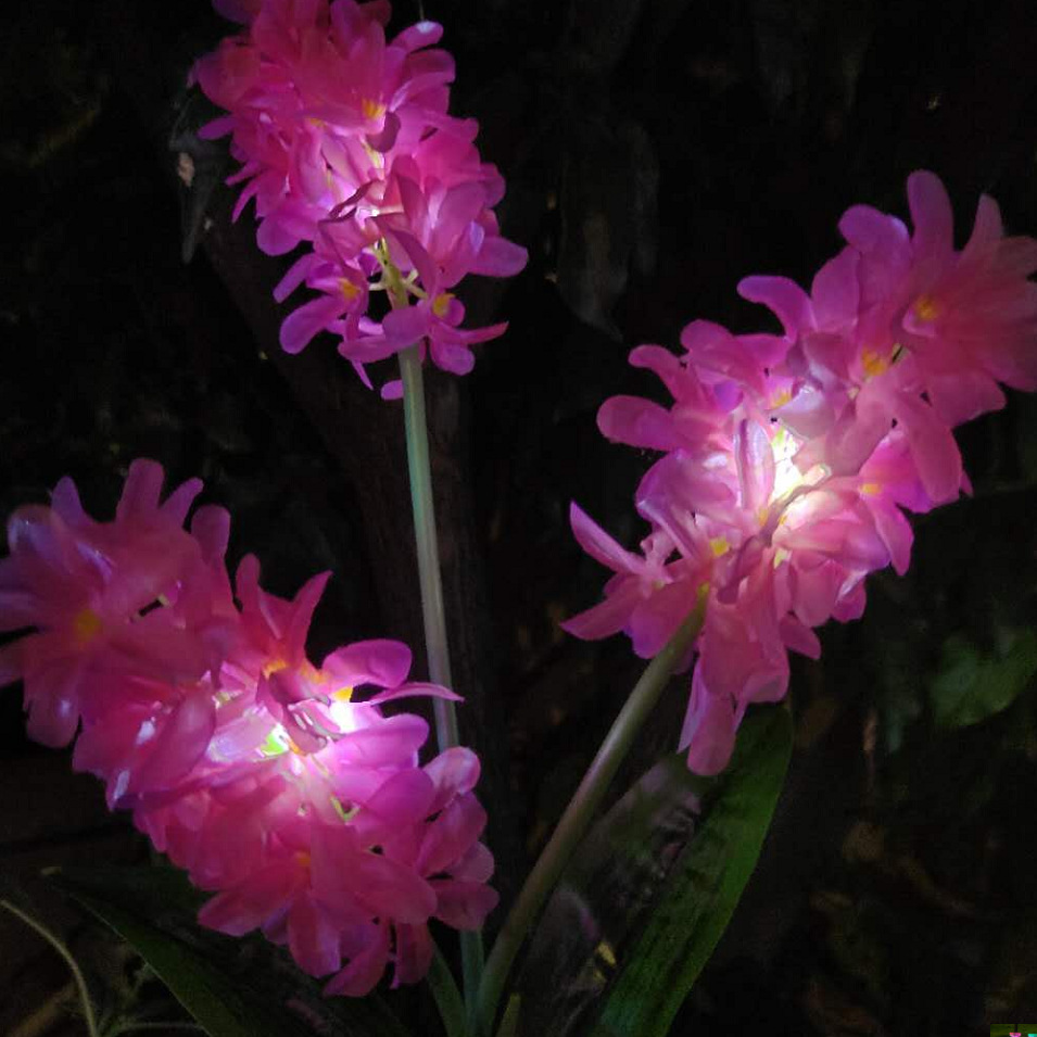 5{Y3K5M1DFW{G1O6$FVVAIV