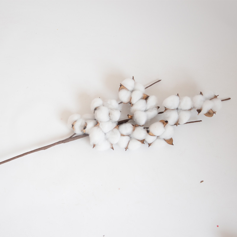 Flor seca algodón DIY kapok hecho a mano algodón flor permanente ramo de la cabeza de algodón material de embalaje Accesorios Al Por Mayor