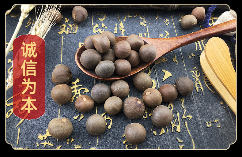Camellia Seed You Cha Zi Whole Dried Seeds 500g Bulk Stock in use