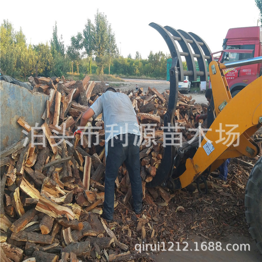 烤鸭烤肉枣木柴