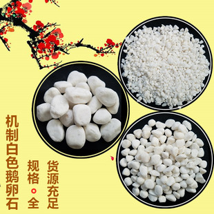 Դ�^���S�Թ� 3-5cm��ɫ�Z��ʯ �@������ʯ�� �@ˇ��ʯ�� �[ʯ