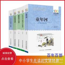 百年百部一百个中国孩子的梦儿童书系全套43本五六年级初中课外
