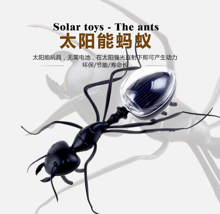 Strange new originality solar energy Toys Ant Insect seed Children&#39;s Puzzle Interesting and tricky Science and education gift