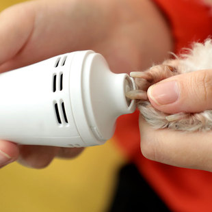 Pet dog electric nail grinder nail clippers kitten Teddy paw toe polishing artifact battery