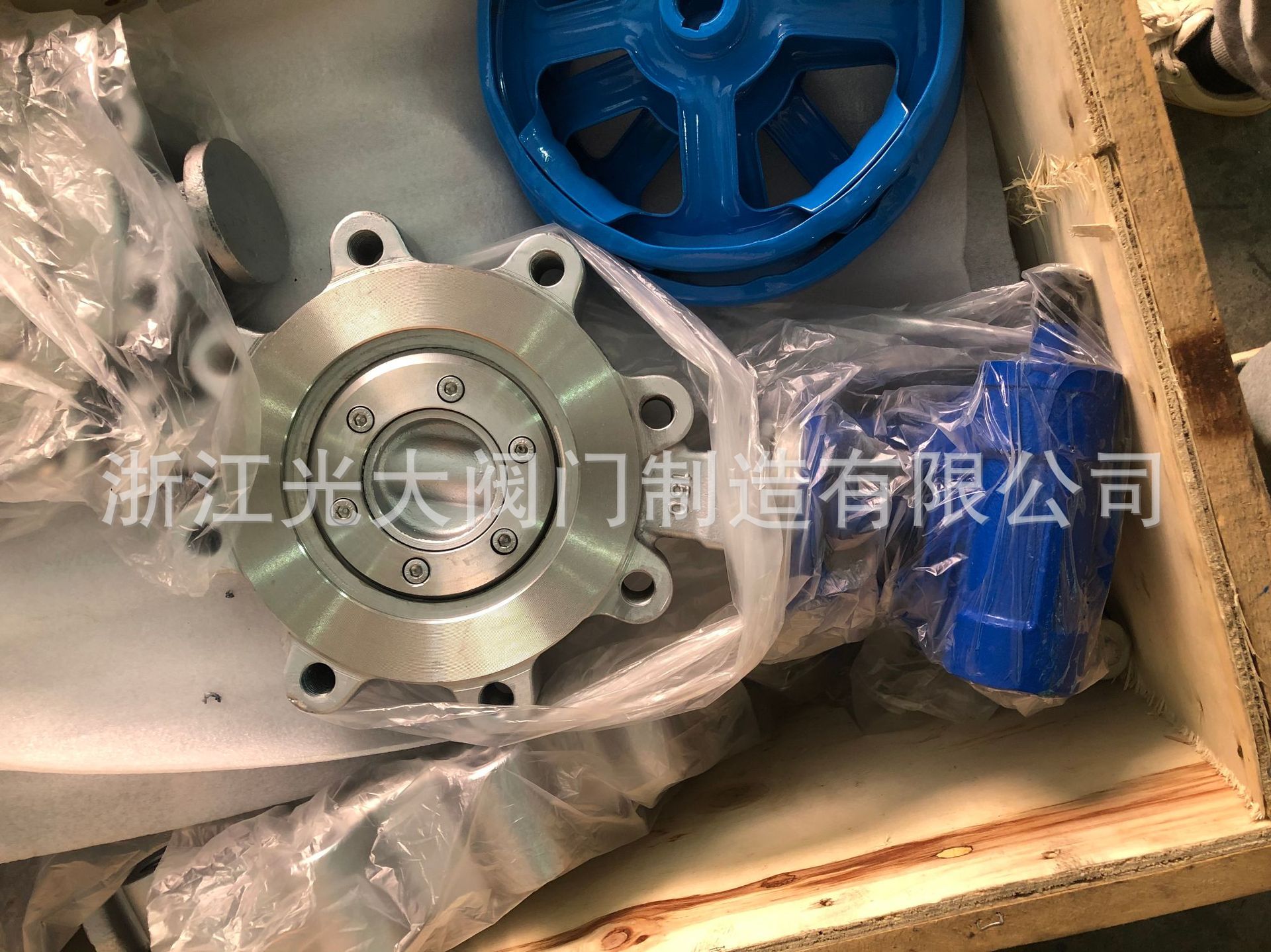 凸耳蝶阀 不锈钢LTD373W-150LBP DN150