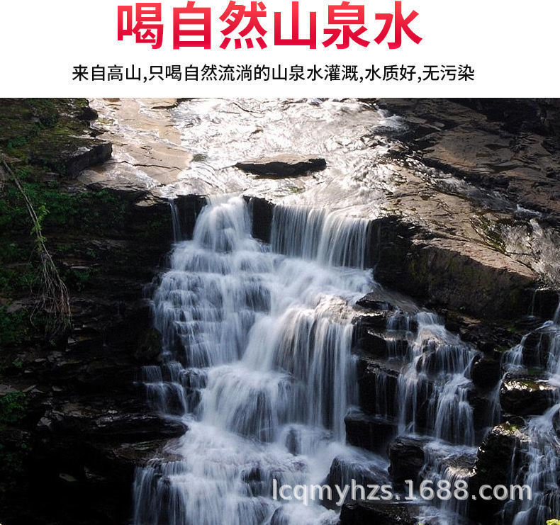 4ec0a3004fda35c908fd2096666e58