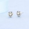 Cross -border e -commerce hot sale, Duoduo hot selling Korean fashion jewelry, you have your heart -shaped earrings female direct sales