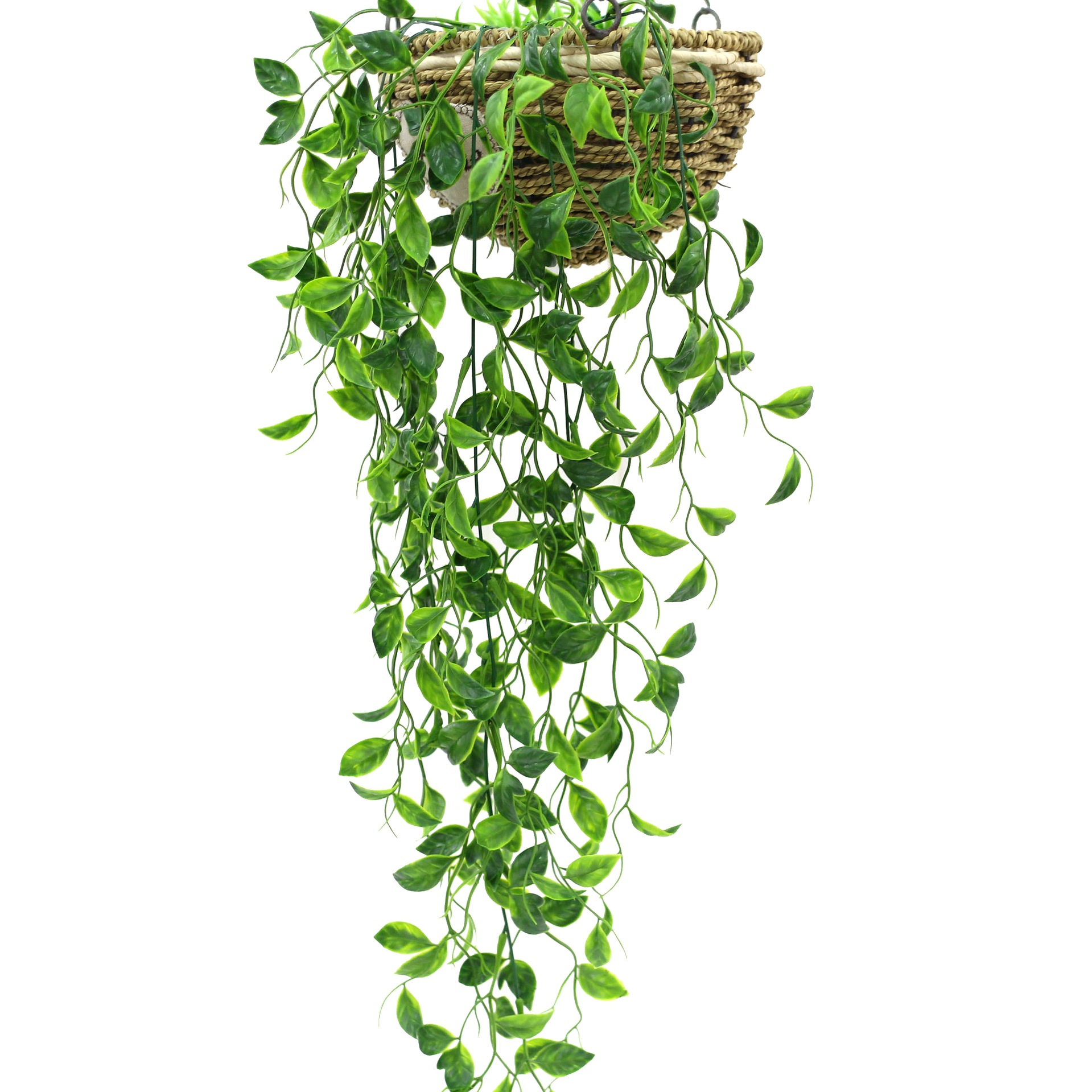 仿真植物壁掛羅葉草塑料花家居裝飾人造花植物墻婚慶綠植工程造景