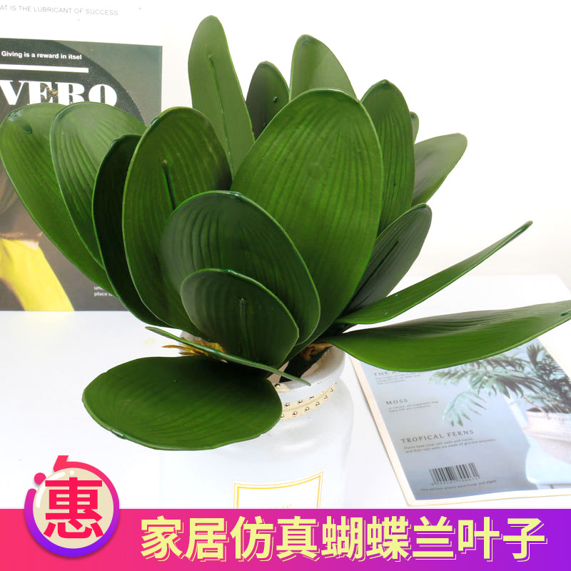 厂家仿真蝴蝶兰叶子婚庆家居装饰兰花叶仿真植物盆栽插花批发跨境