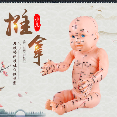 Children massage Model a doll baby massage acupoint Yuesao train chinese medicine teaching simulation Young Children whole body