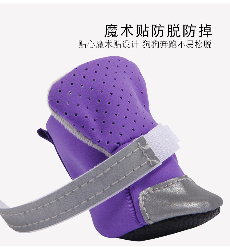 反光狗鞋