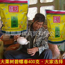 23年大理云龙大栗树茶碧螺春绿茶叶 新茶云南绿茶烘青碧螺春400g