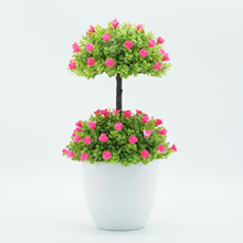 �S��ֱ�N����ֲ������ �¿����ϻ��辰 �Ҿ��bGֲ���ܼٻ��[��