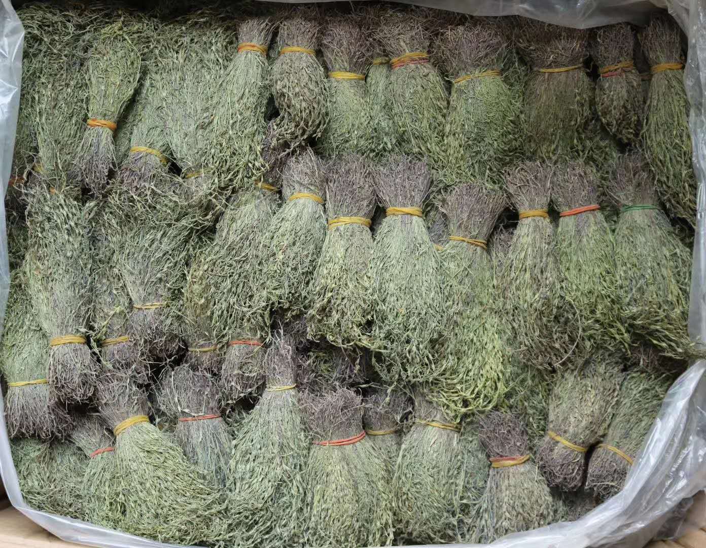 批发独脚金疳积草汤包中药材独脚柑独角金野青生绿大货|ms