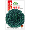 Huayu Wujian vegetable seed manufacturer wholesale vegetable garden cold -resistant and wintering black heart black cabbage seed seeds are easy to plant vegetables 孑