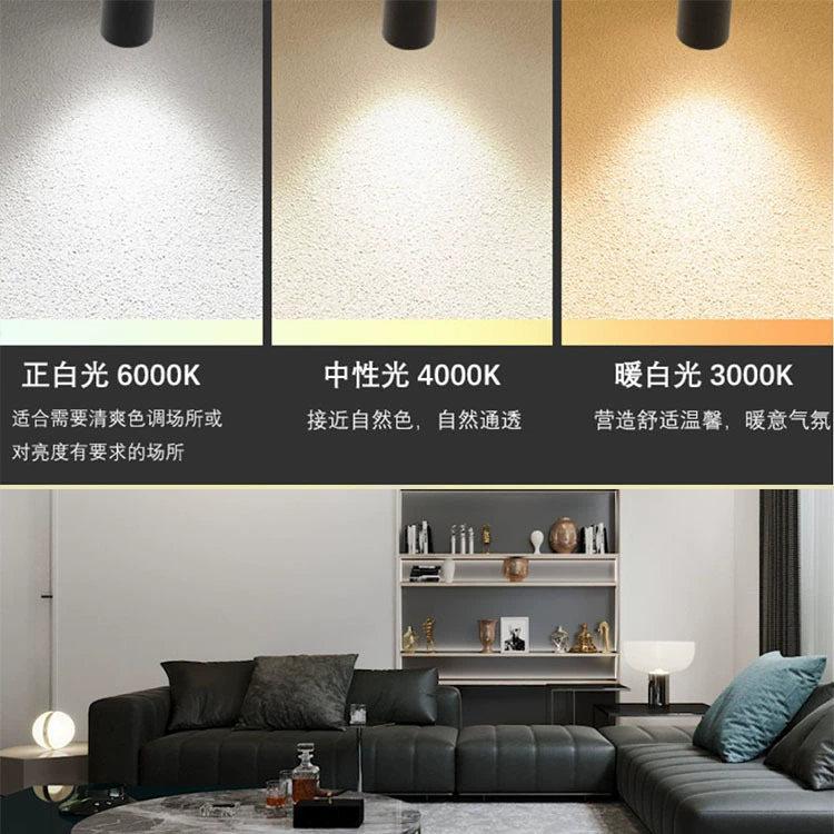 LED spot lighting, lights railed