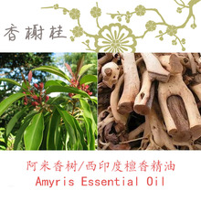  侫 Amyris Oil ӡ̴η 10ML