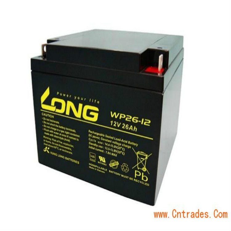 LONG广隆蓄电池WP20-12 12V20AH铅酸免维护应急蓄电池现货