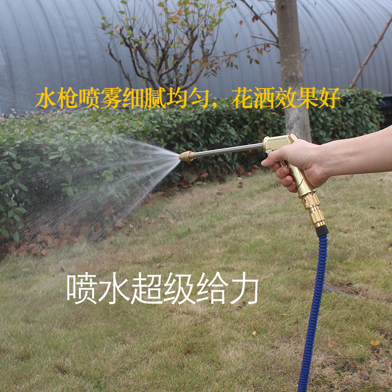 德奥长嘴浇花洗车水枪高压洒水喷头园艺养花喷灌喷枪电镀喷水头