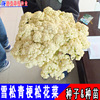 Dutch green sink loose cauliflower loose cauliflower loose cauliflower cedar cedar 60 days F1 pine cauliflower seed spring and autumn species