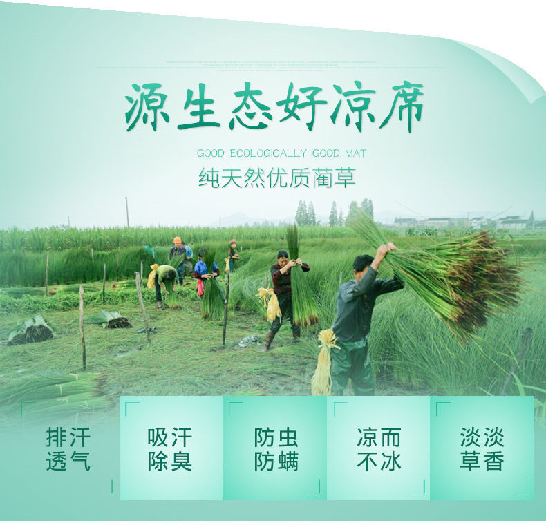 1582098720064_副本