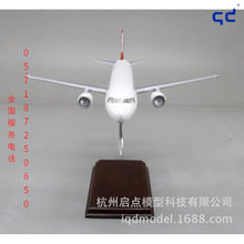 北京 上海 杭州 飛機 航空 客機 919 運輸機模型 展覽展示擺件航