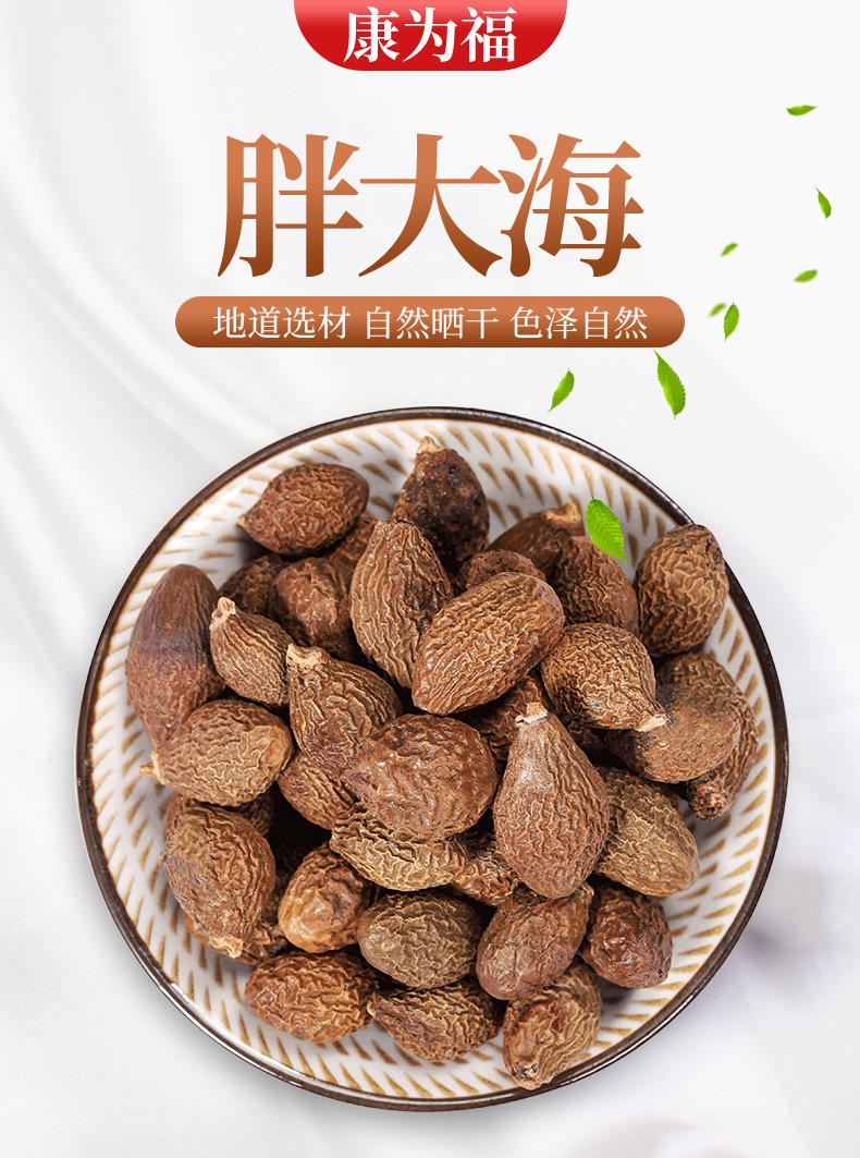 Pang Da Hai Powder (Sterculia lychnophora) — Dried Food-Herb Seed Powder for Throat-Soothing Teas overview