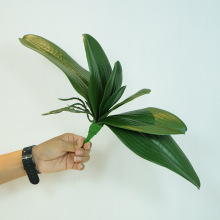 ��Ʒ�|�����ָк����m�~�ӼҾ��b����Բ廨��c������ֲ����