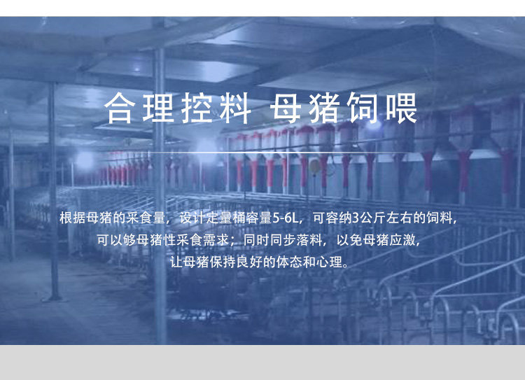 定量桶AA详情页 (5).jpg