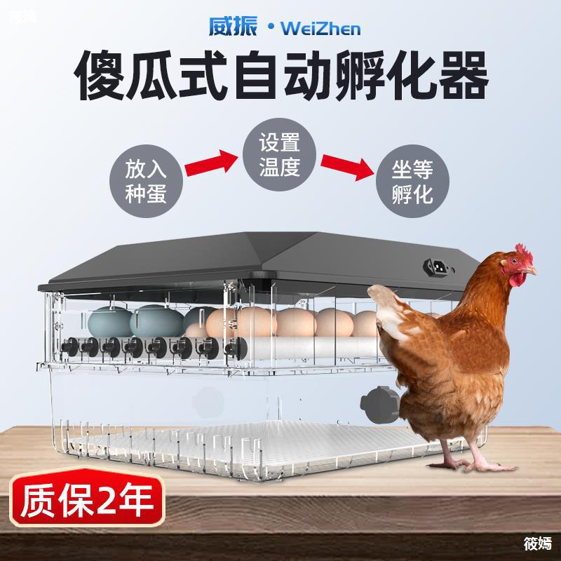 Incubator fully automatic small-scale household chick Incubators intelligence water bed Incubator dove Incubators