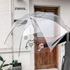 Nuby, fresh automatic children's umbrella suitable for men and women for elementary school students, internet celebrity, custom made