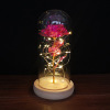 Rose glass cover gold foil flower with LED lamp Lantern Lights Eternal Flower Christmas Festival Valentine's Day Swelling Source