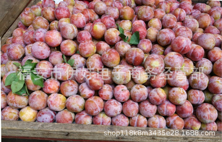 TB2GoQwdVXXXXcnXpXXXXXXXXXX_!!