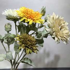 向日葵舞台花 向日葵舞台花厂家 品牌 图片 热帖 阿里巴巴