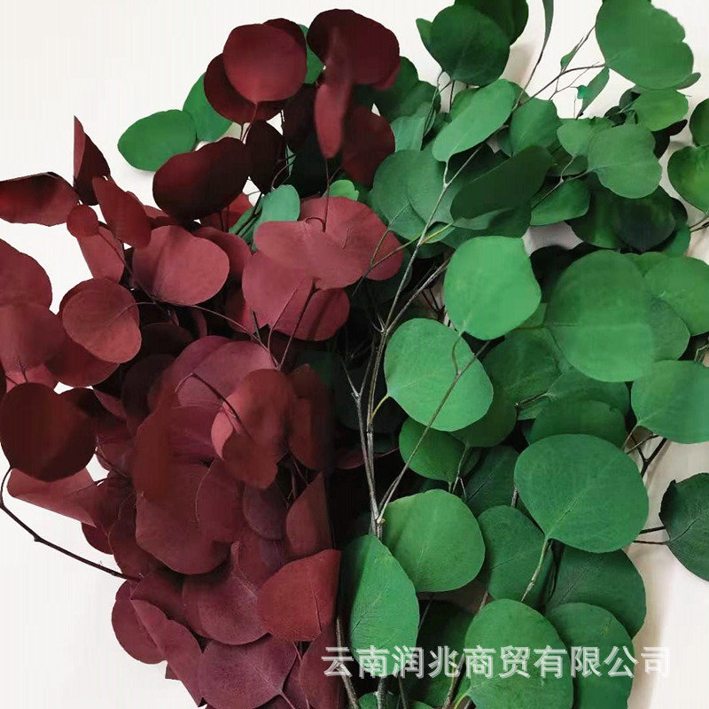 Manufactor Direct selling Eternal life Apple Apple Eucalyptus leaves Flower art Soft loading Glass finished product Photo frame Bouquet of flowers