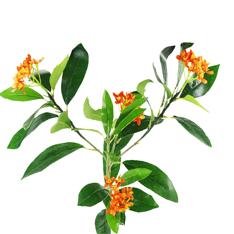 XRB-167 新桂花五叉枝立体3.jpg