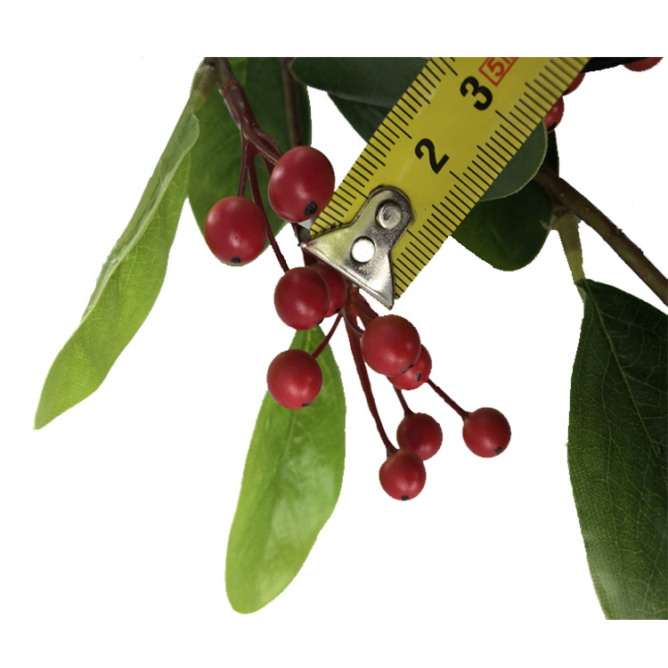 冬青果四叉枝15叶8串48果62CM2.jpg