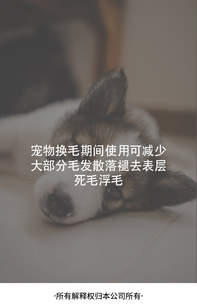 脱毛开结梳1_17.jpg