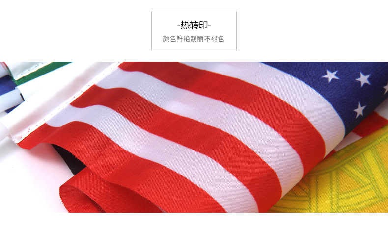 美国手摇旗_05.jpg