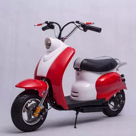 沙滩车;其他电动车;平衡车