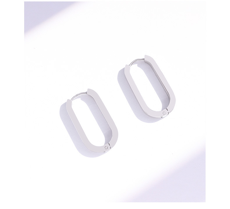 Oval Titanium Steel Earrings display picture 8