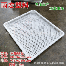 厂家供应小孔塑料烘盘网格塑料盘豆腐匾 塑料晾晒箱 量大优惠