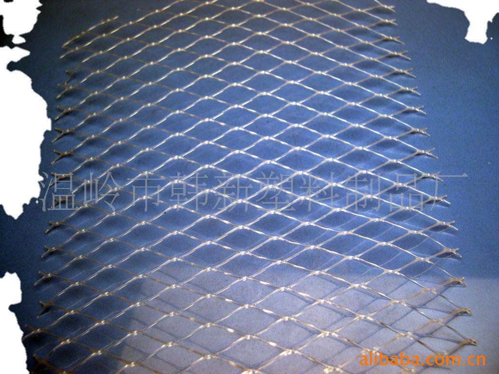 韩新塑料网厂家直销 养殖网 垫底网 养鸡网 可定制