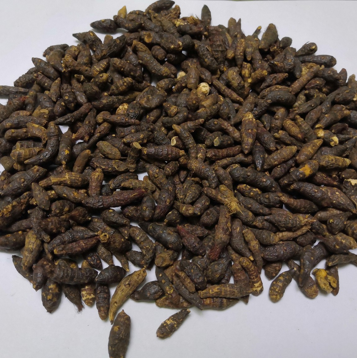 Xiang Fu Cyperus Rhizome Slices Dried Xiang Fu Zi Herbal Decotion Pieces 1kg Bag quality and texture